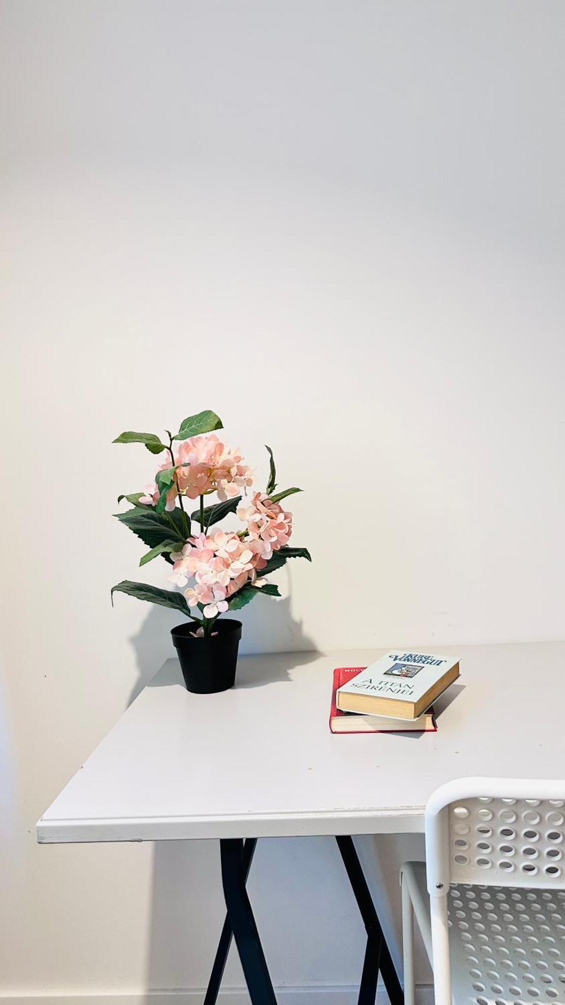 Rozsa Apartment บูดาเปสต์ ภายนอก รูปภาพ